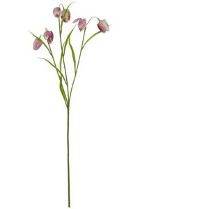 The Natural Garden Collection Fritillaria (Single Stem Flower) - Plastic - L22 x W22 x H58 cm - Purple The Natural Garden Collection Fritillaria (Single Stem Flower) - Plastic - L22 x W22 x H58 cm - Purple
