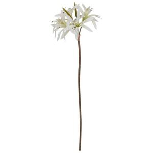 The Natural Garden Collection Nerine Lily (Single Stem Flower) - Plastic - Height 61 cm - White The Natural Garden Collection Nerine Lily (Single Stem Flower) - Plastic - Height 61 cm - White