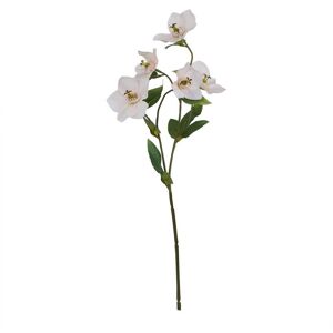 The Natural Garden Collection Pale Apricot Hellibore - Artificial Flower (Single Stem) - Plastic - H47 cm The Natural Garden Collection Pale Apricot Hellibore - Artificial Flower (Single Stem) - Plastic - H47 cm