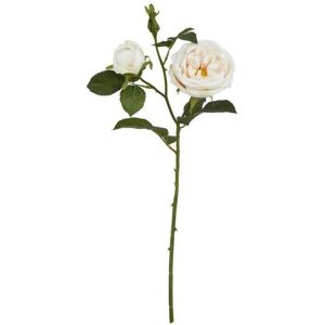 The Natural Garden Collection Palest Blush Charity Rose (Single Stem Flower) - Plastic - Height 58 cm - Pink The Natural Garden Collection Palest Blush Charity Rose (Single Stem Flower) - Plastic - Height 58 cm - Pink