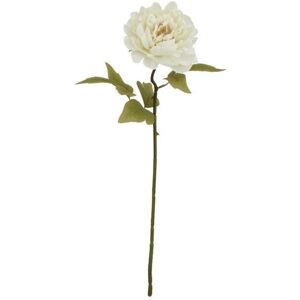 The Natural Garden Collection Peony (Single Stem Flower) - Plastic - Height 52 cm - White The Natural Garden Collection Peony (Single Stem Flower) - Plastic - Height 52 cm - White