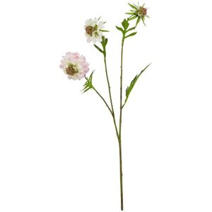 The Natural Garden Collection Scabious - Artificial Flower (Single Stem) - Plastic - L17 x W21 x H65 cm - Pale Pink The Natural Garden Collection Scabious - Artificial Flower (Single Stem) - Plastic - L17 x W21 x H65 cm - Pale Pink
