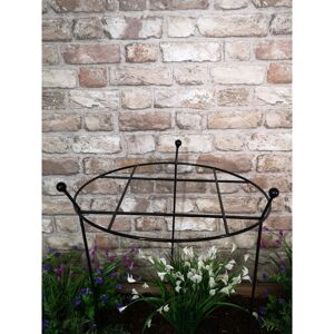 Samuel Alexander - Tom Chambers Cottage Heavy Duty Black Metal Steel Herbaceous Garden Plant Support Grow Through Large 80cm x 45cm Samuel Alexander - Tom Chambers Cottage Heavy Duty Black Metal Steel Herbaceous Garden Plant Support Grow Through Large 80cm x 45cm