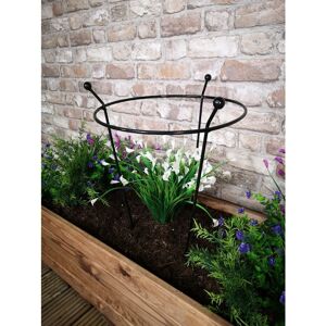 Samuel Alexander - Tom Chambers Cottage Heavy Duty Black Metal Steel Herbaceous Garden Plant Support Ring Small 60cm x 35cm Samuel Alexander - Tom Chambers Cottage Heavy Duty Black Metal Steel Herbaceous Garden Plant Support Ring Small 60cm x 35cm