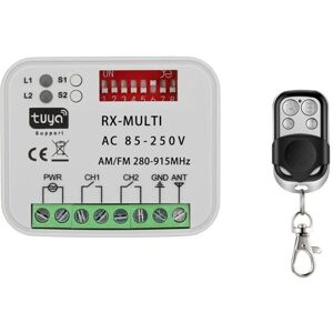 TLILY Tuya WiFi Garage Door Switch 280-915MHz Control Receiver TLILY Tuya WiFi Garage Door Switch 280-915MHz Control Receiver