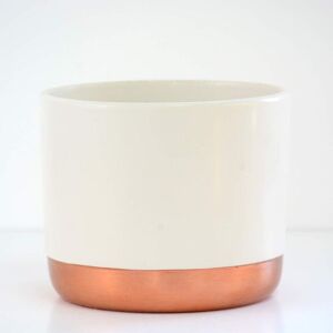 THOMPSON & MORGAN Two-tone ceramic White-Rose Gold 10.5cm Medium Pot THOMPSON & MORGAN Two-tone ceramic White-Rose Gold 10.5cm Medium Pot