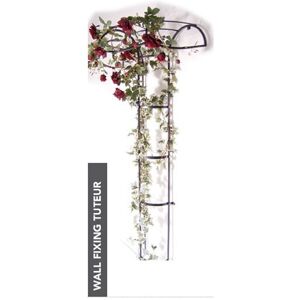 Wall Fixing Tuteur - Border Plant Support - Steel - L56 x W109 x H195 cm - Black Wall Fixing Tuteur - Border Plant Support - Steel - L56 x W109 x H195 cm - Black
