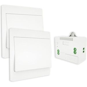 WOIYIC Wireless Switch, Battery-Free, Two-Way Wall Remote Control, Self-Powered Wall Switch, No Wiring, Transmitter for Wall Panel (2-Way Kit), WOIYIC Wireless Switch, Battery-Free, Two-Way Wall Remote Control, Self-Powered Wall Switch, No Wiring, Transmitter for Wall Panel (2-Way Kit),