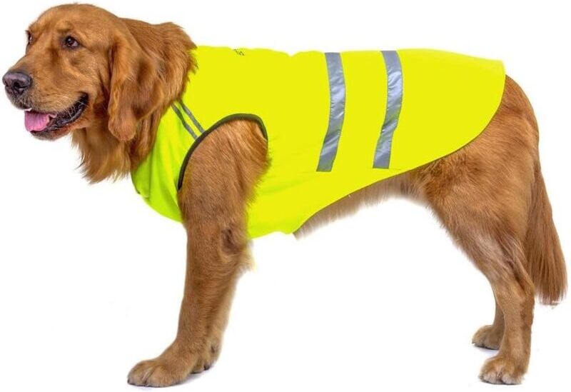 MEMKEY Safety Vests Reflective Dog Coat Thickening Comfortable Fabric Elastic Collar Green Yellow 3XL (Back Length 50cm, Chest Girth 60-70cm)