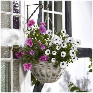 Smart Garden - 35cm 14 Inch Rattan Effect Hanging Basket Seashell Cream Planter