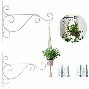 HOOPZI 25cm Lantern Hook Iron Hanging Plant Holder Decorative Wall Planter Hanging Hooks with Black Screws for Bird Feeder Lanterns Wind Chimes (Set of 2,