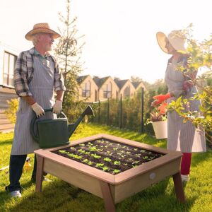 Berkfield Home - axi Seedling Growing Table Linda Brown