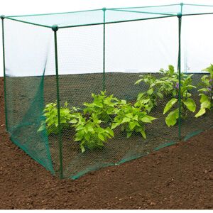 GARDENSKILL Build-a-Cage Fruit & Veg Cage with Bird Net - 2m x 2m x 1.25m high