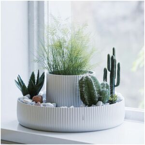 A Place For Everything - Ceramic Indoor Planter - Fountain