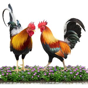 Héloise - Chicken Garden Ornaments, 2PCS Decorative Chicken Garden, Garden Statue Rooster Decor for Outdoors, Resin Animal Figurine for Garden