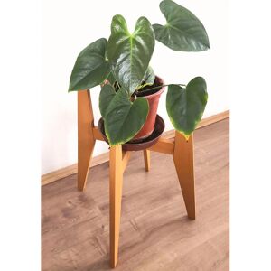 Decorotika - Pollny Handmade Natural Solid Wood Plant Pot Holder Pot Stand Pot Organizer Decorative Plant Organizer - Light - Light