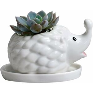 White Hedgehog Ceramic Succulent Flower Pot Flower Pot and Saucer Animal Decoration Window Frame Flower Pot (Baby Hedgehog) - Langray