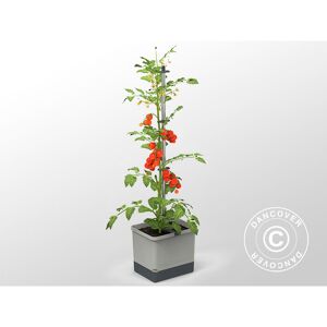 Dancover - Planter, tom tomato, w/stake and water tank, Light Grey - Light grey