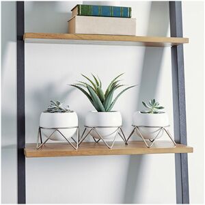 A Place For Everything - Potsy Desktop Planter Trio