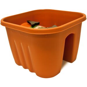 Deuba Railing Box incl. Clamps - 38x29x20cm - different colors Terracotta, 300 (de)