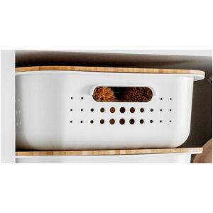 A Place For Everything - SmartStore Basket with Lid - Shallow - Lid and Base