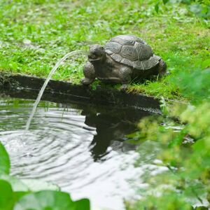Berkfield Home - Ubbink Spitter Garden Fountain Turtle