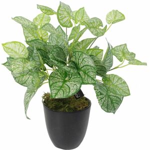 Leaf 40cm Artificial Caladium Plant with pot Leaf 40cm Artificial Caladium Plant with pot