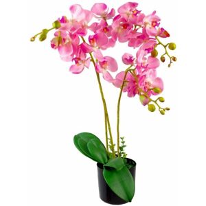 Leaf - 60cm Design uk Realistic Artificial Orchid Flower Display in Pot Leaf - 60cm Design uk Realistic Artificial Orchid Flower Display in Pot