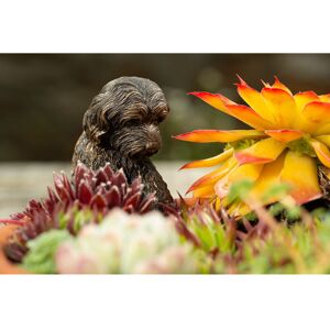 Antique Bronze Coloured Cockapoo Pot Buddy Plant Pot Hanger - L11 x W5.5 x H4.5 cm Antique Bronze Coloured Cockapoo Pot Buddy Plant Pot Hanger - L11 x W5.5 x H4.5 cm