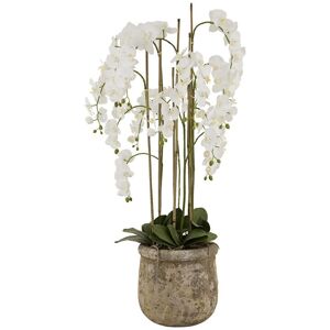 Hill Interiors - Artificial Large Orchid In Antique Pot - Plastic/Stone - L40 x W40 x H153 cm - White Hill Interiors - Artificial Large Orchid In Antique Pot - Plastic/Stone - L40 x W40 x H153 cm - White
