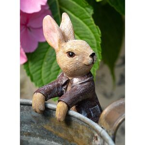 Beatrix Potter Benjamin Bunny Plant Pot Hanger - L11 x W4 x H6 cm Beatrix Potter Benjamin Bunny Plant Pot Hanger - L11 x W4 x H6 cm