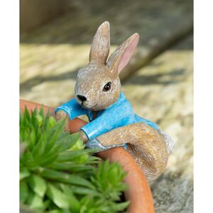 Beatrix Potter Peter Rabbit Climbing Plant Pot Hanger - L9 x W7.5 x H7 cm Beatrix Potter Peter Rabbit Climbing Plant Pot Hanger - L9 x W7.5 x H7 cm