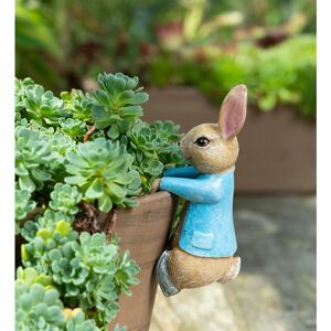 Beatrix Potter Peter Rabbit Hanging Plant Pot Hanger - L11 x W4 x H5.5 cm Beatrix Potter Peter Rabbit Hanging Plant Pot Hanger - L11 x W4 x H5.5 cm