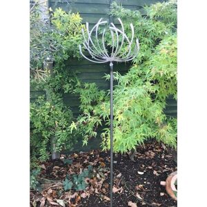 Clematis 5Ft (Pack of 3) - Steel - W15.2 x H151.1 cm - Bare Metal/Ready to Rust Clematis 5Ft (Pack of 3) - Steel - W15.2 x H151.1 cm - Bare Metal/Ready to Rust