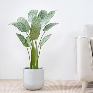 Mcc Direct - Decorative Artificial Bird of Paradise Tree with Plastic Planter and Artificial Moss 110cm Mcc Direct - Decorative Artificial Bird of Paradise Tree with Plastic Planter and Artificial Moss 110cm