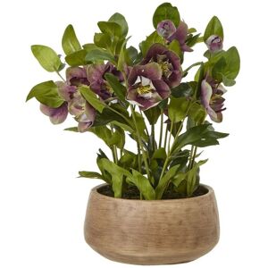 Deep Plum Hellebore Plant Pot - Plastic - L33 x W38 x H41 cm - Taupe Deep Plum Hellebore Plant Pot - Plastic - L33 x W38 x H41 cm - Taupe
