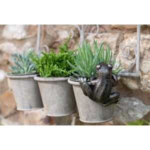 Frog Plant Pot Hanger - L10.5 x W11 x H5 cm Frog Plant Pot Hanger - L10.5 x W11 x H5 cm