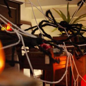 Halloween Spider Decoration with Webs 2 pcs Black white 200 cm vidaXL Halloween Spider Decoration with Webs 2 pcs Black white 200 cm vidaXL