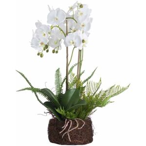 Hill Interiors - Large Orchid and Fern Garden in Rootball Artificial Flower - Plastic - L52 x W52 x H57 cm - White Hill Interiors - Large Orchid and Fern Garden in Rootball Artificial Flower - Plastic - L52 x W52 x H57 cm - White