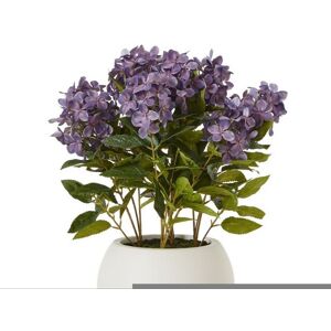 Medium Purple Hydrangea Plant in Pot - Plastic - L51 x W51 x H58 cm Medium Purple Hydrangea Plant in Pot - Plastic - L51 x W51 x H58 cm