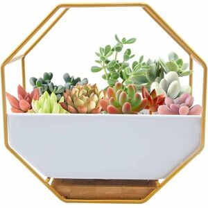 ERHOPE Modern Metal Wire Wall Planter,Wall Mounted Plant Pot,Hanging Flower Wall Mounted Glass Planter Clear Vase for Artificial ERHOPE Modern Metal Wire Wall Planter,Wall Mounted Plant Pot,Hanging Flower Wall Mounted Glass Planter Clear Vase for Artificial