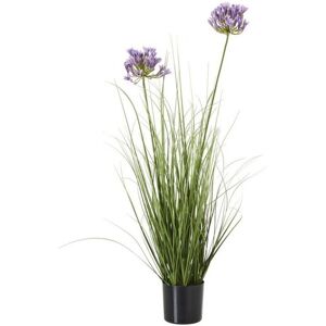 Purple Agapanthus Plant in Pot - Plastic - Height 90 cm - Green Purple Agapanthus Plant in Pot - Plastic - Height 90 cm - Green