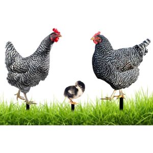 Héloise - Statues, Decorative Garden Chicken Statue Garden Art Hen Apple Background Ornaments Chicken Garden Animal Figurine Decoration for Outdoor Héloise - Statues, Decorative Garden Chicken Statue Garden Art Hen Apple Background Ornaments Chicken Garden Animal Figurine Decoration for Outdoor