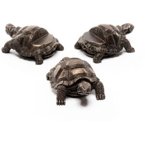 Tortoise Plant Pot Feet - Set of 3 - L8.5 x W6 x H5 cm Tortoise Plant Pot Feet - Set of 3 - L8.5 x W6 x H5 cm
