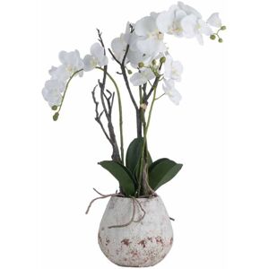 Hill Interiors - Orchid in Stone Pot Artificial Flower - Plastic - L46 x W46 x H70 cm - White Hill Interiors - Orchid in Stone Pot Artificial Flower - Plastic - L46 x W46 x H70 cm - White