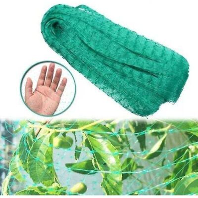 SNQ Bird netting, suitable for bird deterrents on shelf A for garden grapes SNQ Bird netting, suitable for bird deterrents on shelf A for garden grapes