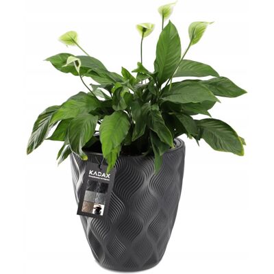 KADAX flower pot with insert and handles, plastic planter in 5 sizes, UV-resistant top KADAX flower pot with insert and handles, plastic planter in 5 sizes, UV-resistant top