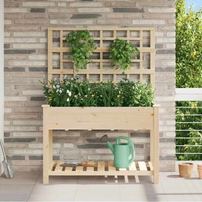 Vidaxl Garden Planting Shelf with Trellis and Shelf - Garden Planting Shelf with Trellis and Shelf Vidaxl Garden Planting Shelf with Trellis and Shelf - Garden Planting Shelf with Trellis and Shelf