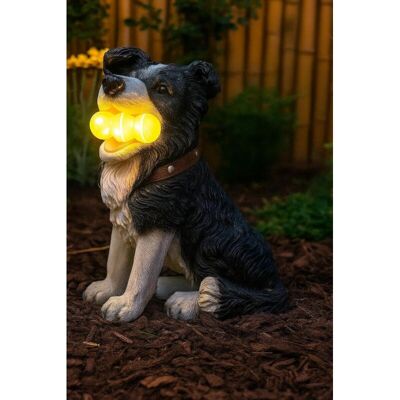 MARCO PAUL Solar Garden Dog Ornament Waterproof Resin Dog Statue with Light up Balls Figurine Solar Powered Garden Decoration Puppy Light for Outdoor, Patio MARCO PAUL Solar Garden Dog Ornament Waterproof Resin Dog Statue with Light up Balls Figurine Solar Powered Garden Decoration Puppy Light for Outdoor, Patio