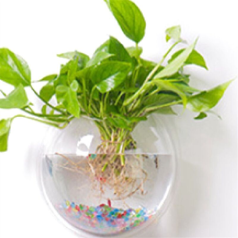 TLILY Transparent Plant Pot Wall Mounted Hanging Fish Tank Flower Round Vase Acrylic Bowl Bubble Aquarium Home